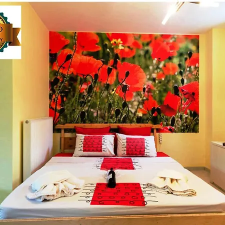 Vacation_studio_near_the_beach Apartment